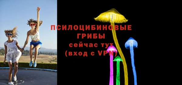 Альфа ПВП Беломорск