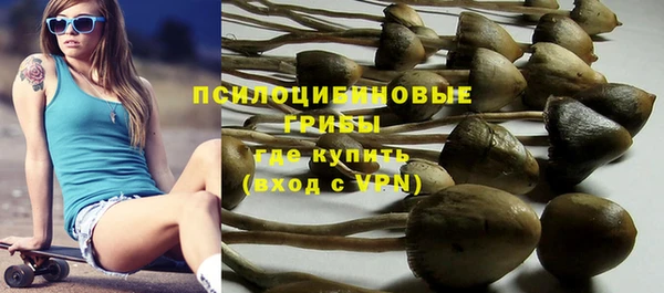 МДПВ Белокуриха